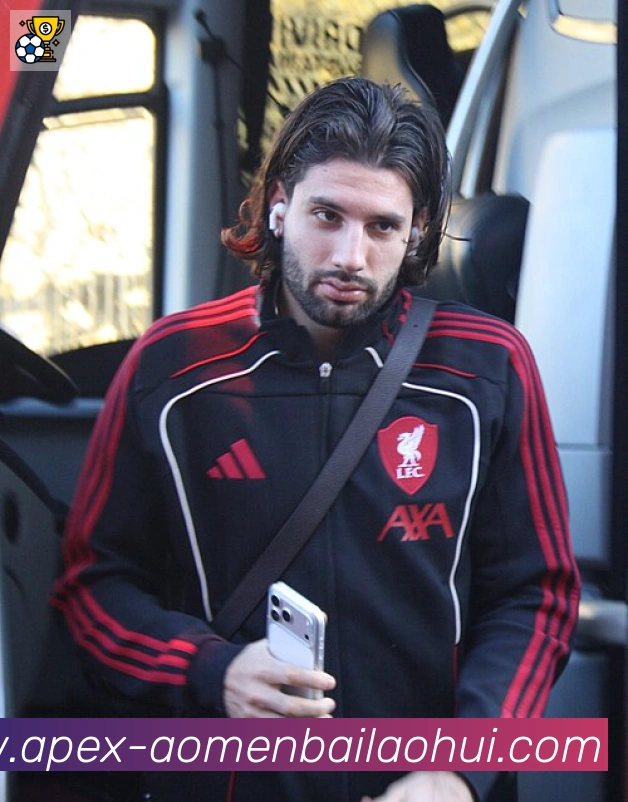 厄林·哈兰德